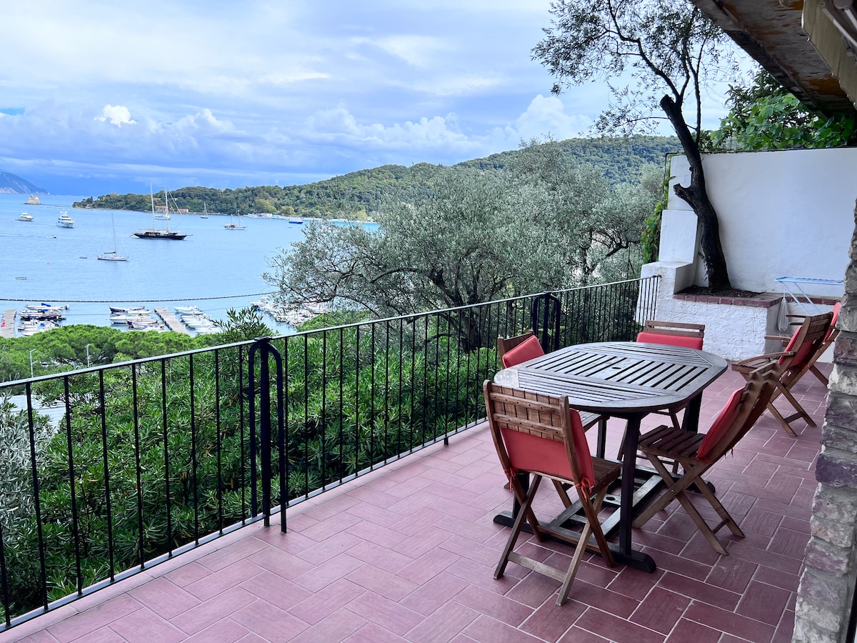 A spacious terrace features a wooden dining table surrounded by four red chairs, along with a view of the sea and boats below. Lush greenery and olive trees frame the scene, while the surrounding landscape includes rolling hills and a cloudy sky.