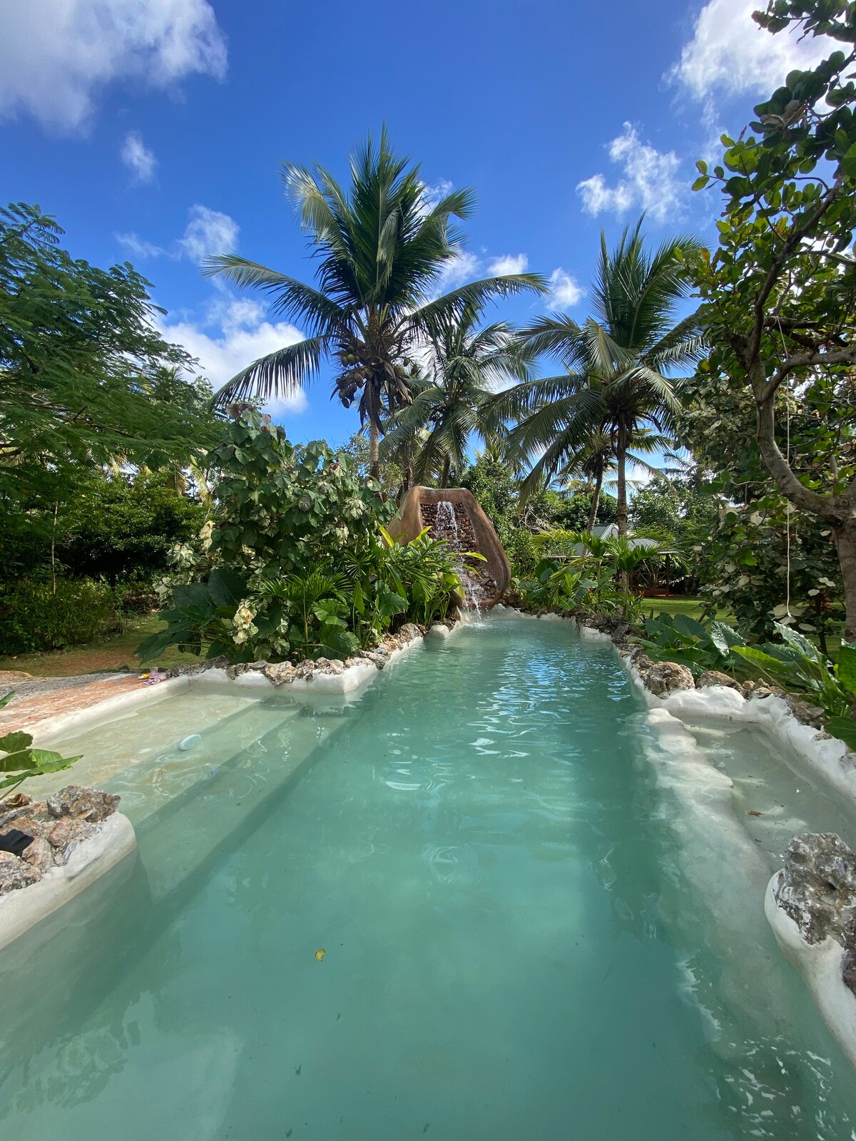 A tranquil outdoor pool is surrounded by lush tropical vegetation, including palm trees and flowering plants. The calm water glistens under a bright blue sky, creating a serene and inviting atmosphere for relaxation.