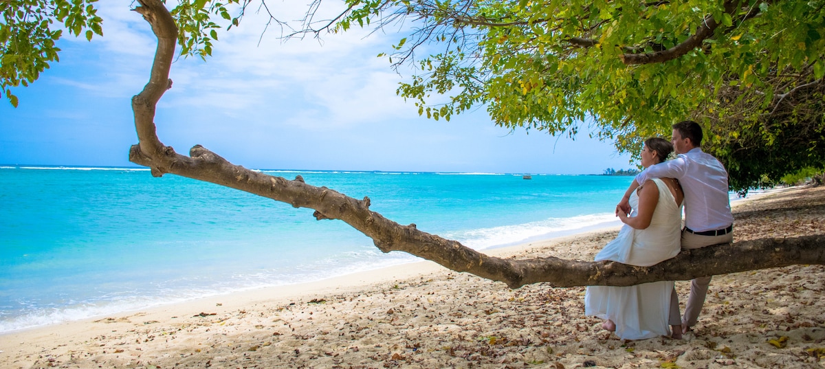 A couple is seated on a sturdy branch, overlooking a serene beach. Soft sand stretches beneath them, with clear turquoise water gently lapping at the shore. Lush green foliage provides shade, creating a peaceful seaside atmosphere.