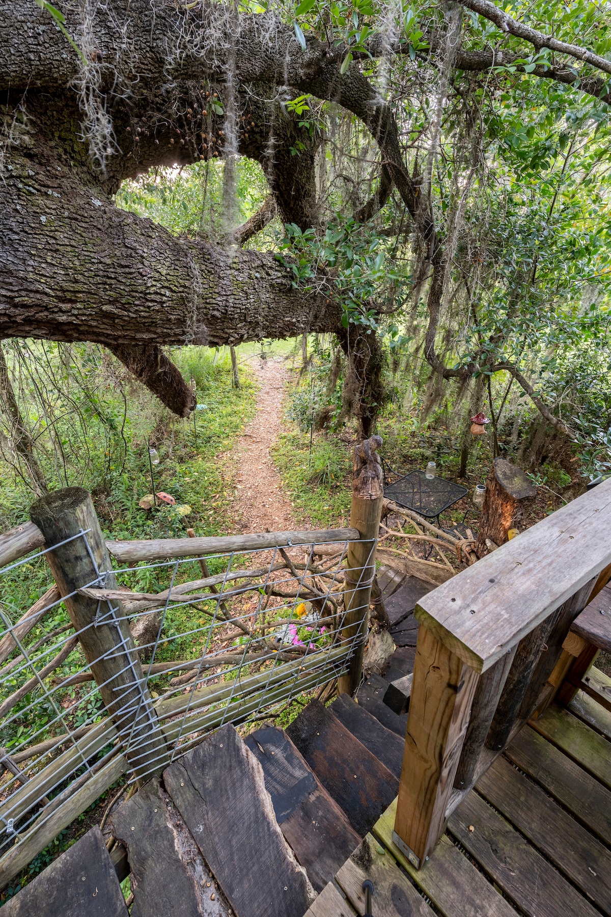 A wooden staircase winds down from the treehouse, surrounded by lush greenery and a path leading into the forest. Moss hangs from the branches, creating a natural frame around the serene outdoor space.