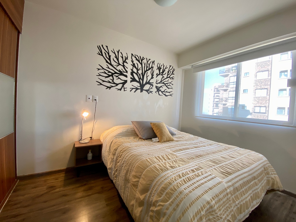 СОБА 1 (СОБА)