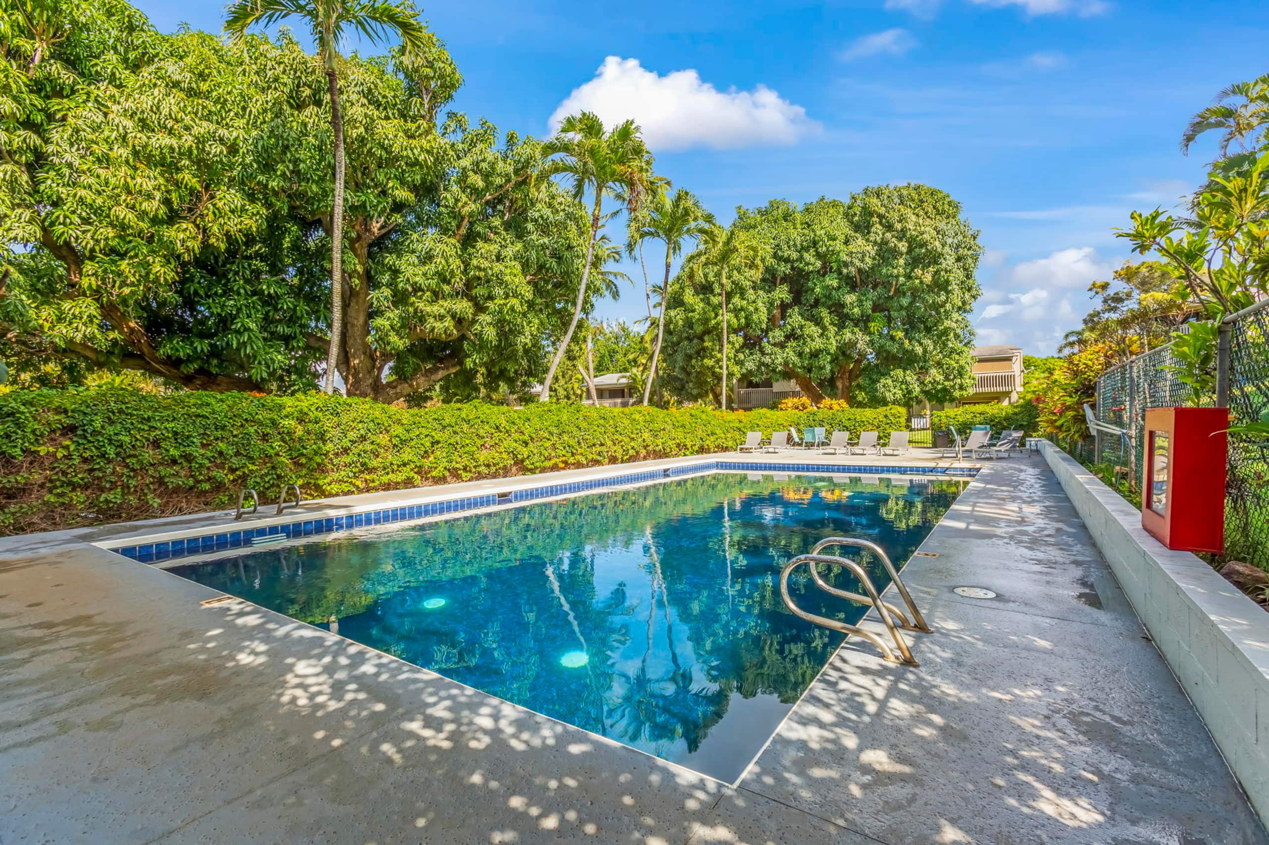Condo in Lahaina · ★4.99 · Studio · 1 bed · 1 private bath - Image 24