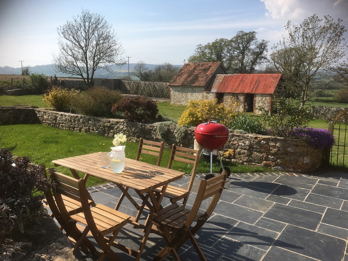 An outdoor patio area features a wooden table with six folding chairs, complemented by a red barbecue grill. Lush green grass surrounds the setting, with flowering plants and hedges visible in the background. A rustic shed with a red roof is situated among the trees.