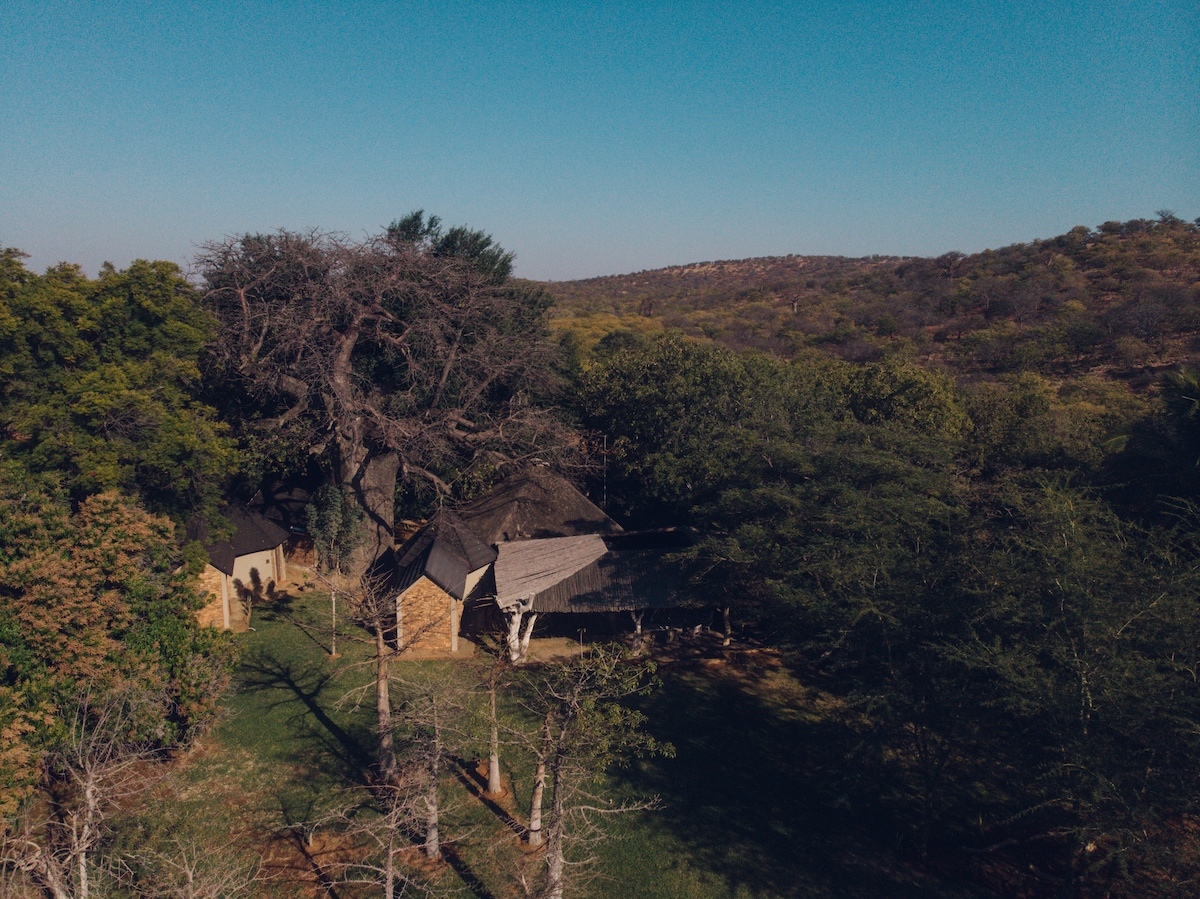 An aerial view showcases the rustic structures of Beskow Lodge nestled among lush greenery and large Baobab trees. The buildings exhibit thatched roofs and natural stone walls, surrounded by expansive bushveld, creating a serene and secluded atmosphere.