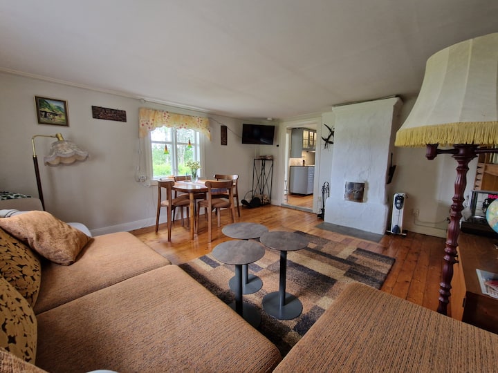 ห้องนั่งเล่นที่มีพื้นที่รับประทานอาหารเตาไม้เตียงโซฟาและเตียงเครื่องเล่น LP! โต๊ะสามารถขยายได้มีเก้าอี้ 6 ตัว