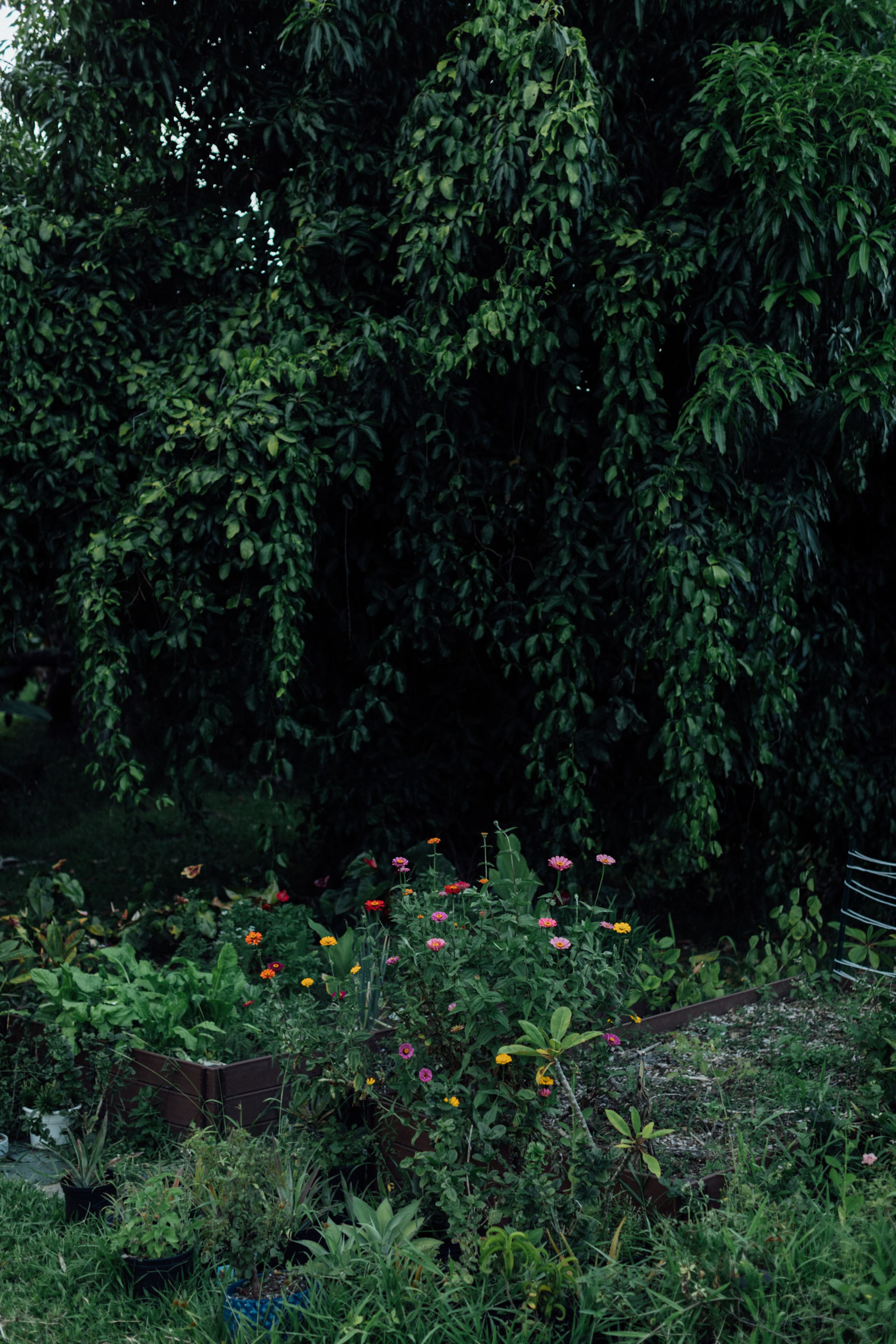The Farm Cottage -At Olamana Organics - Photo 29