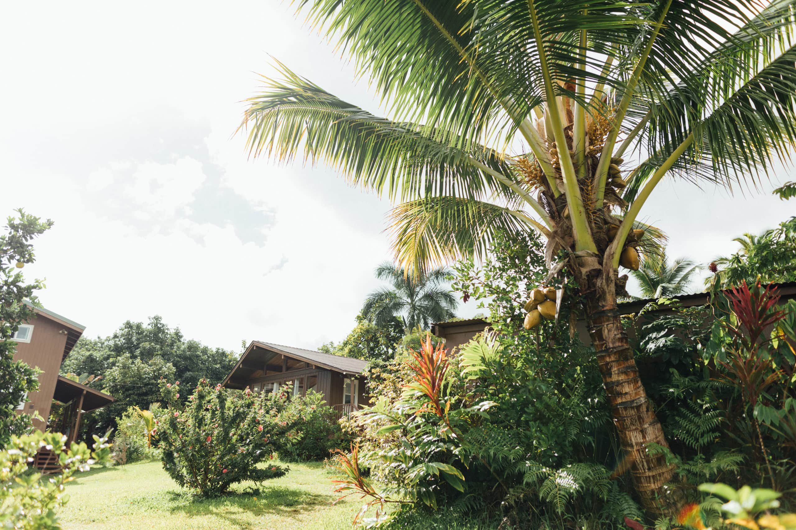 The Farm Cottage -At Olamana Organics - Photo 25