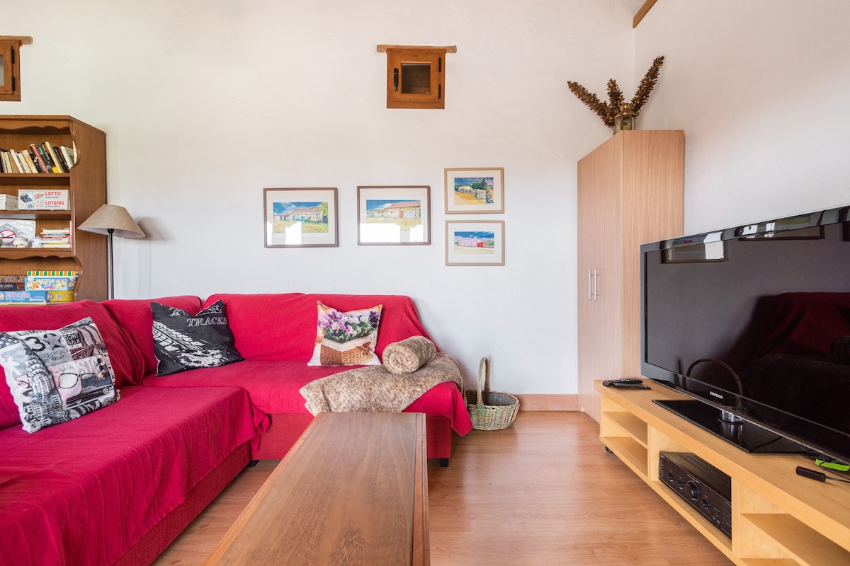 منظر للأريكة والتلفزيون