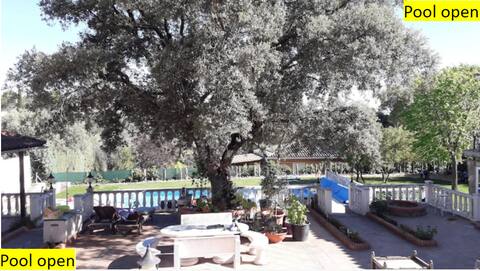 Lovely home, nearby Madrid to enjoy nature.
