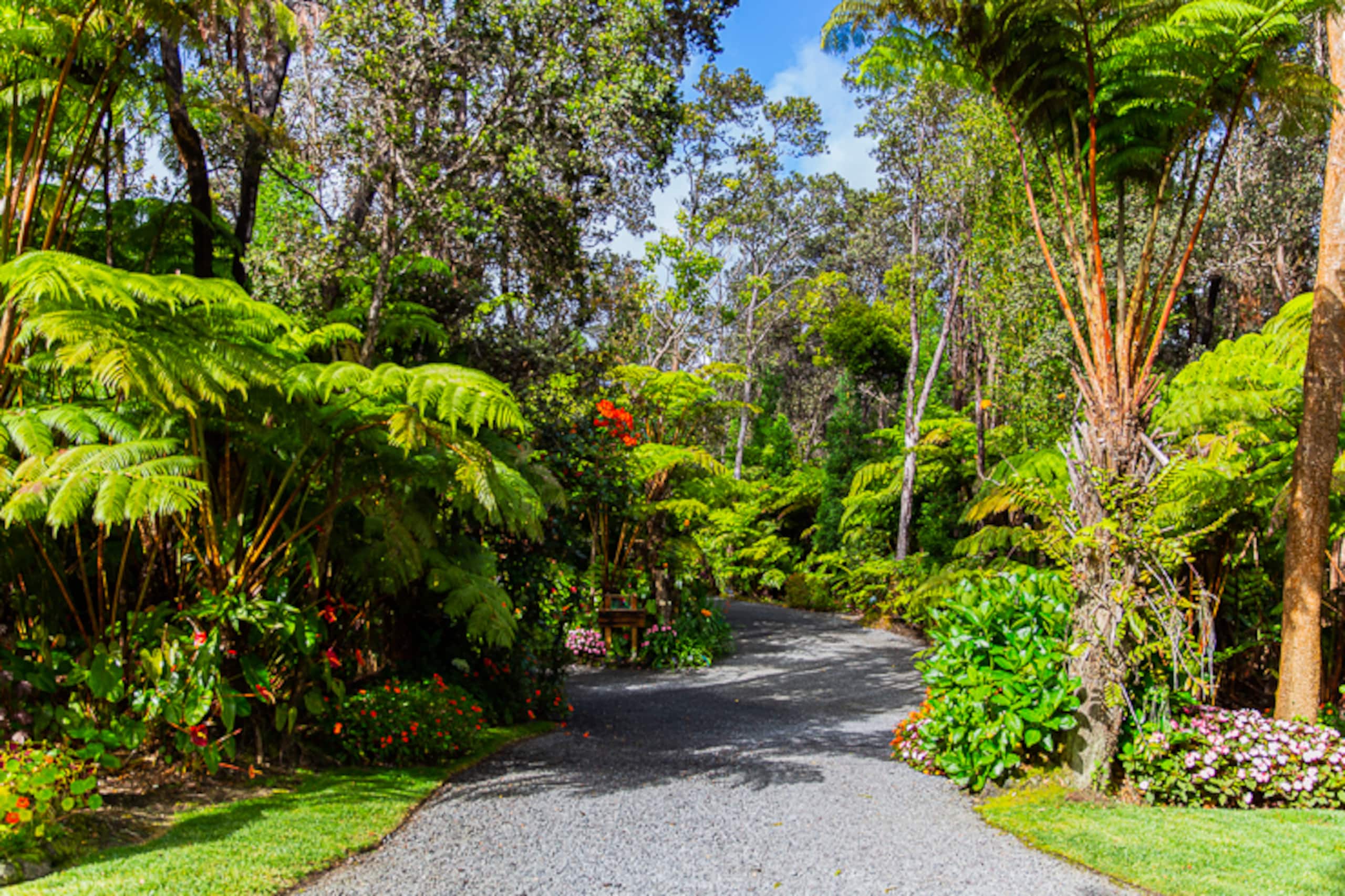 Guesthouse in Volcano · ★4.99 · 1 bedroom · 1 bed · 1 bath - Image 26