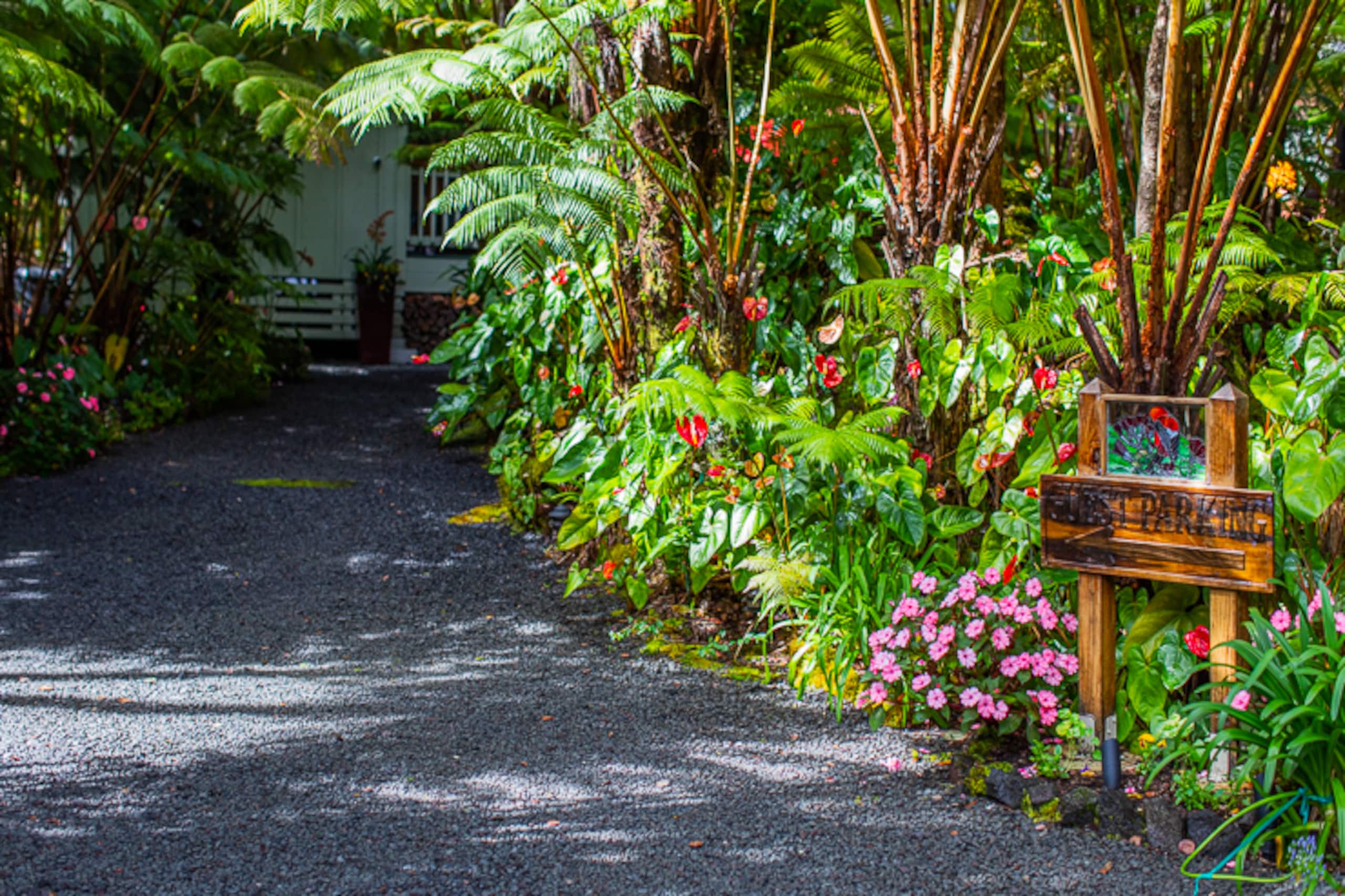 Guesthouse in Volcano · ★4.99 · 1 bedroom · 1 bed · 1 bath - Image 33