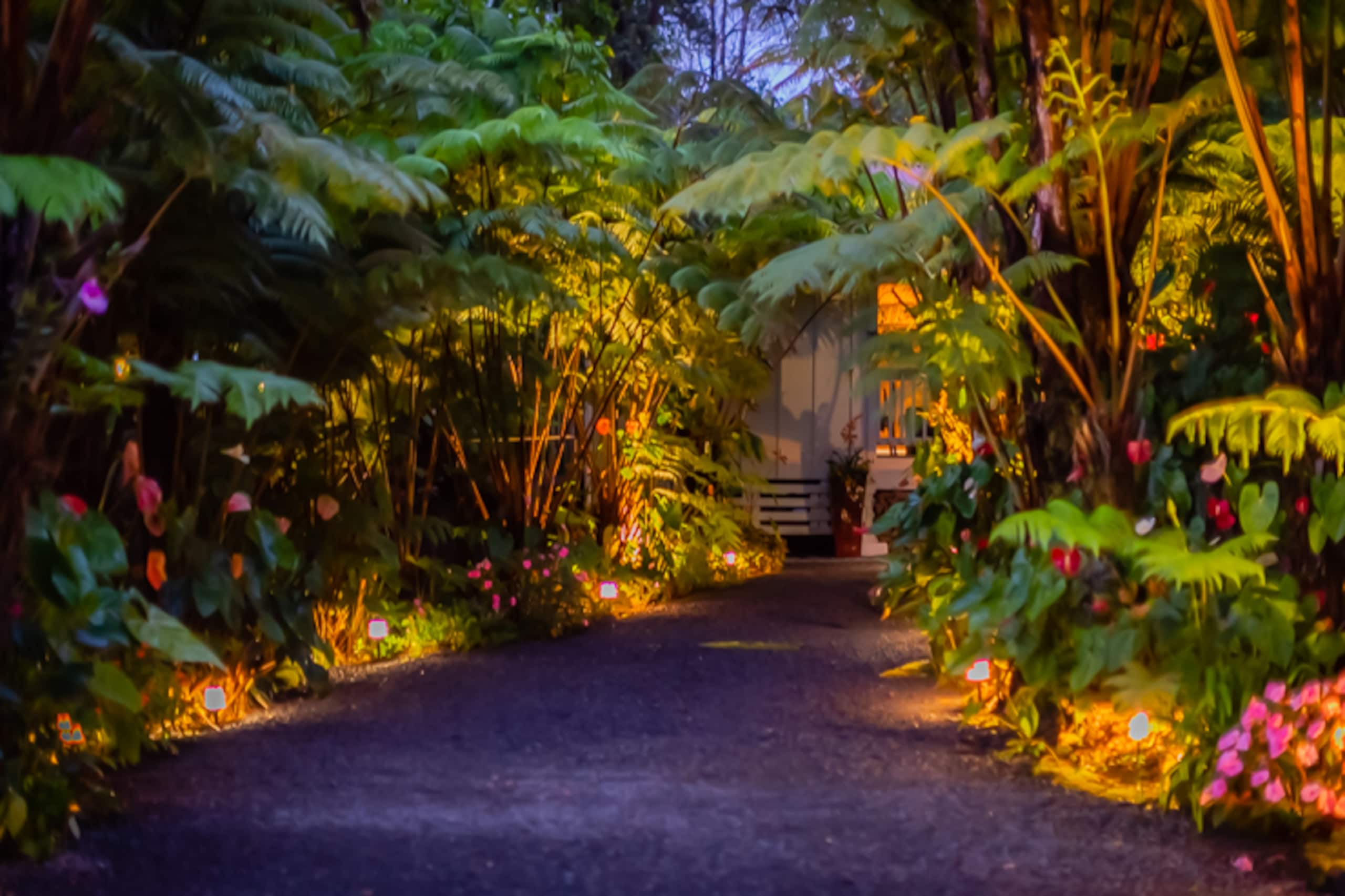 Guesthouse in Volcano · ★4.99 · 1 bedroom · 1 bed · 1 bath - Image 29