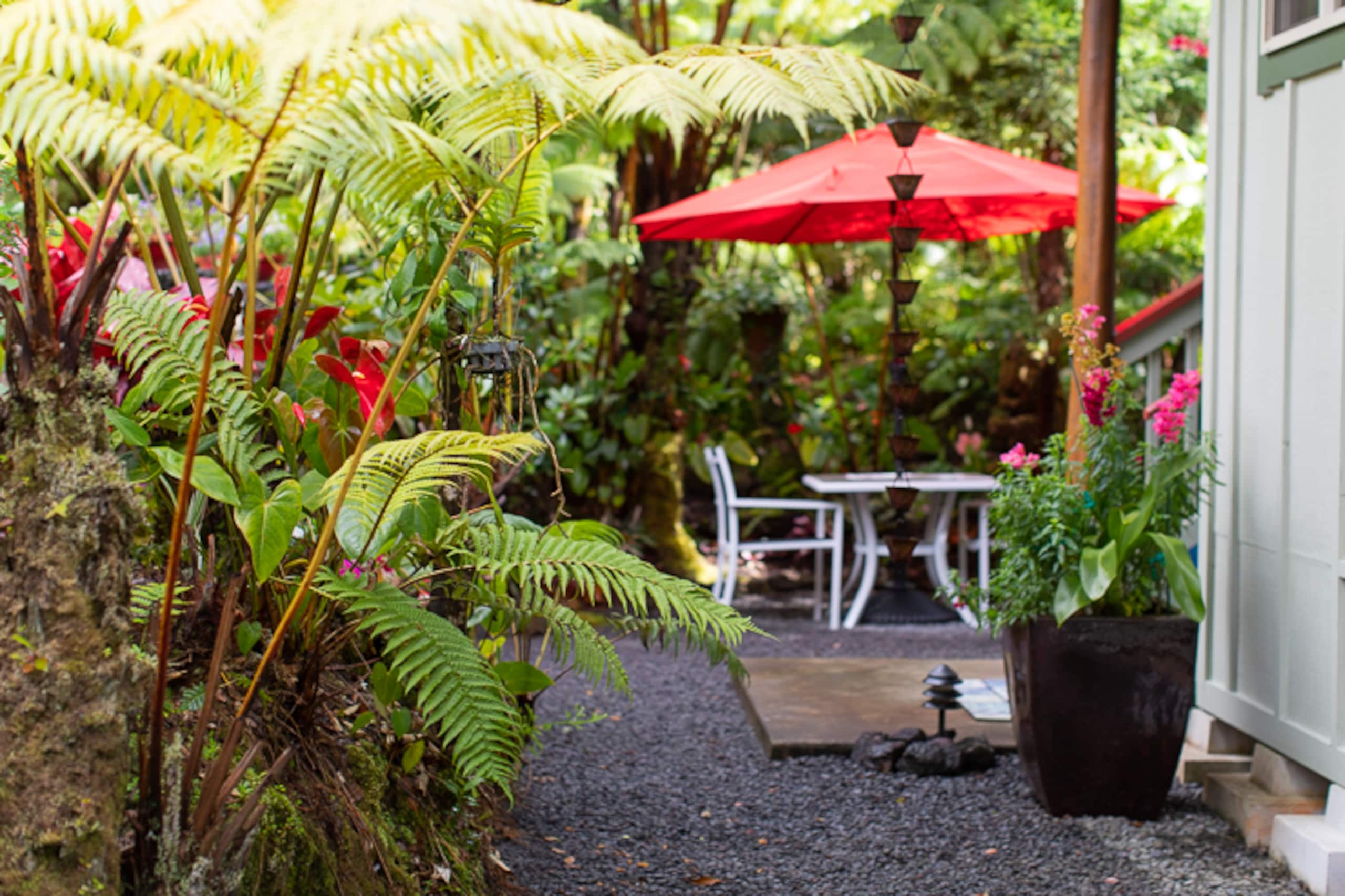 Guesthouse in Volcano · ★4.99 · 1 bedroom · 1 bed · 1 bath - Image 9