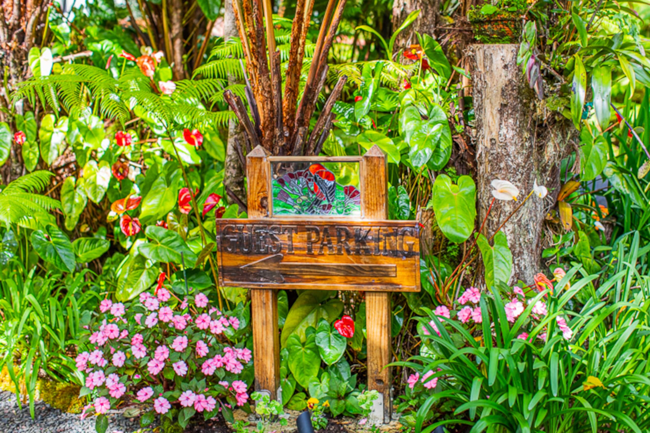 Guesthouse in Volcano · ★4.99 · 1 bedroom · 1 bed · 1 bath - Image 19