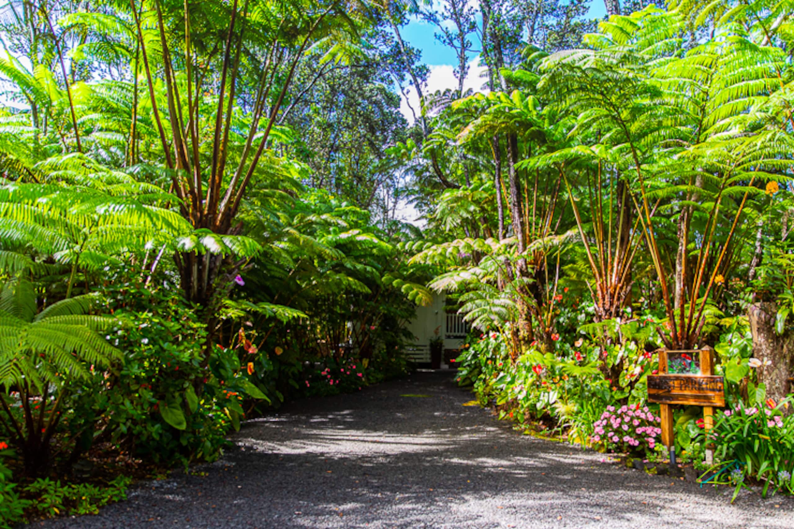 Guesthouse in Volcano · ★4.99 · 1 bedroom · 1 bed · 1 bath - Image 34