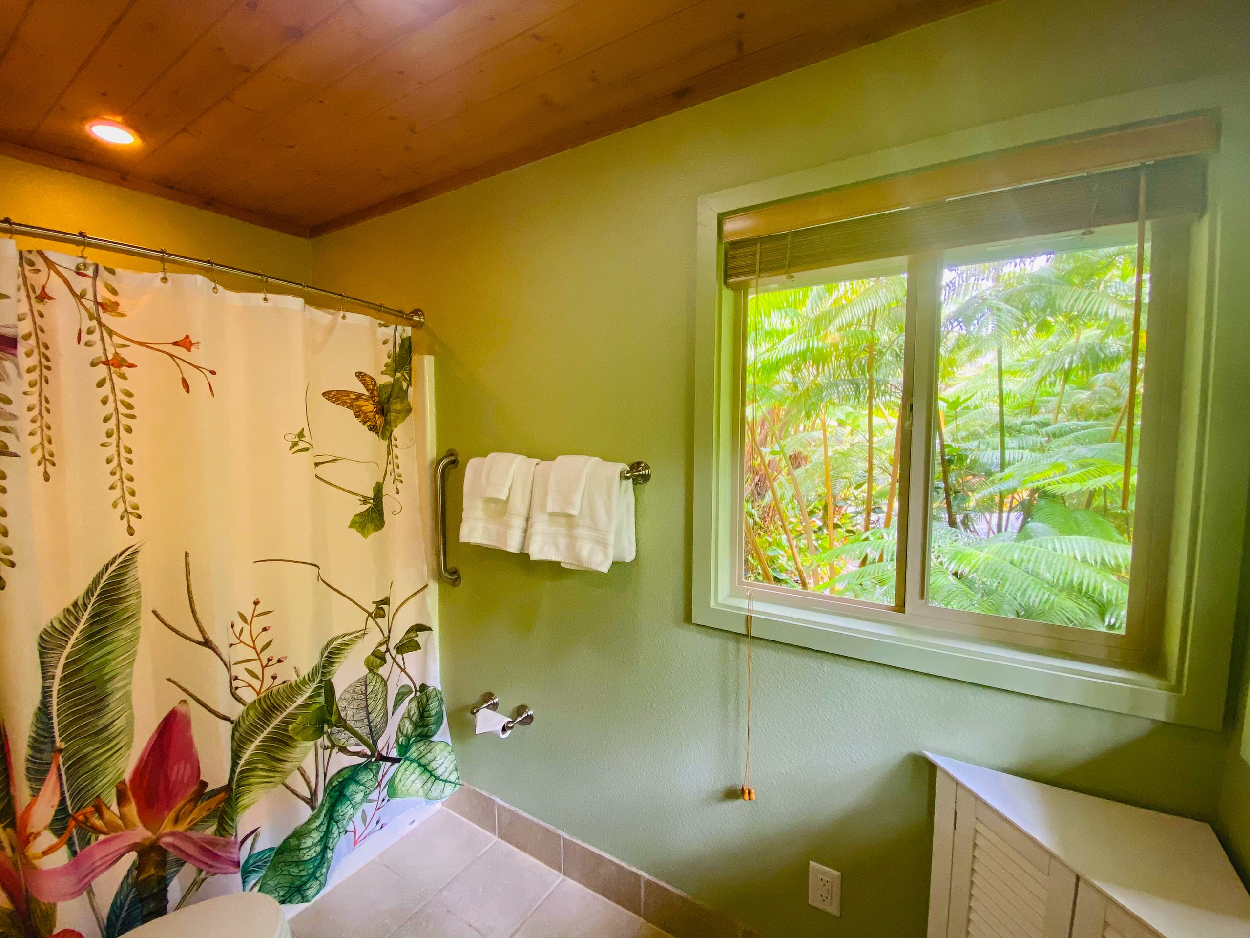 Guesthouse in Volcano · ★4.99 · 1 bedroom · 1 bed · 1 bath - Image 7