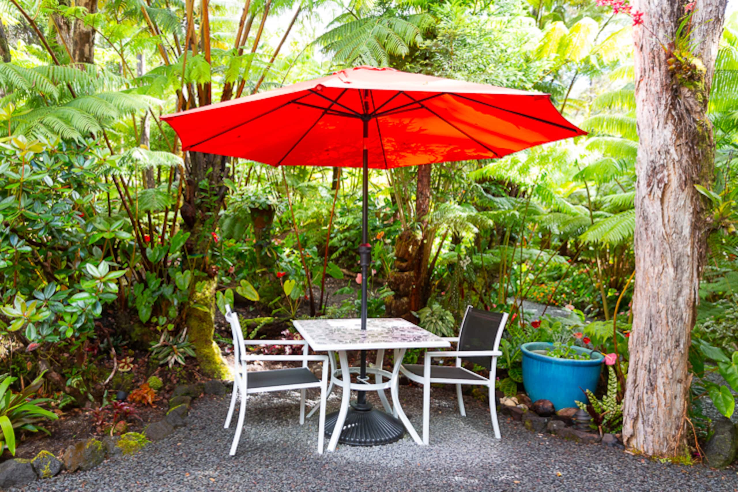 Guesthouse in Volcano · ★4.99 · 1 bedroom · 1 bed · 1 bath - Image 10