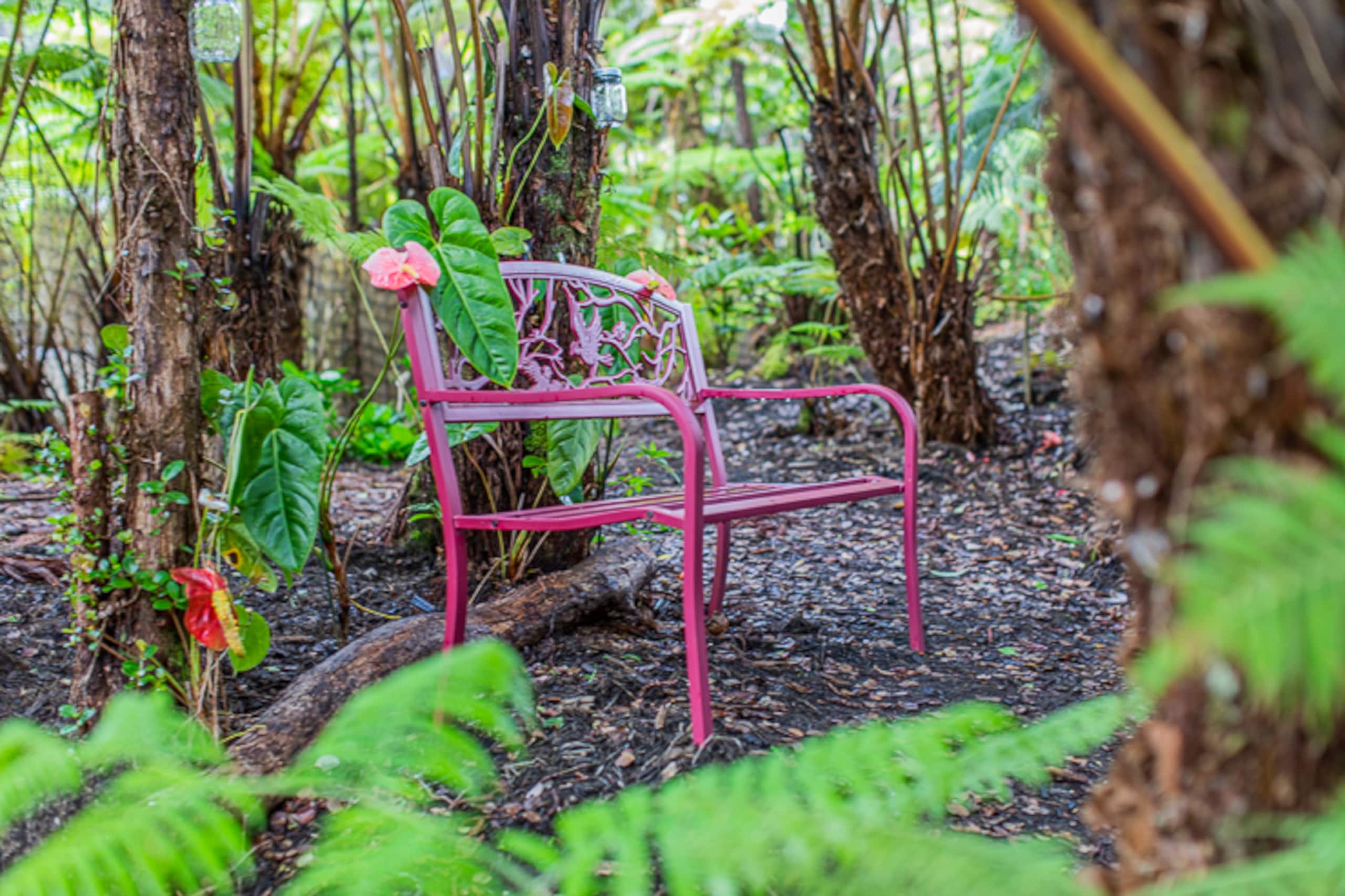 Guesthouse in Volcano · ★4.99 · 1 bedroom · 1 bed · 1 bath - Image 31