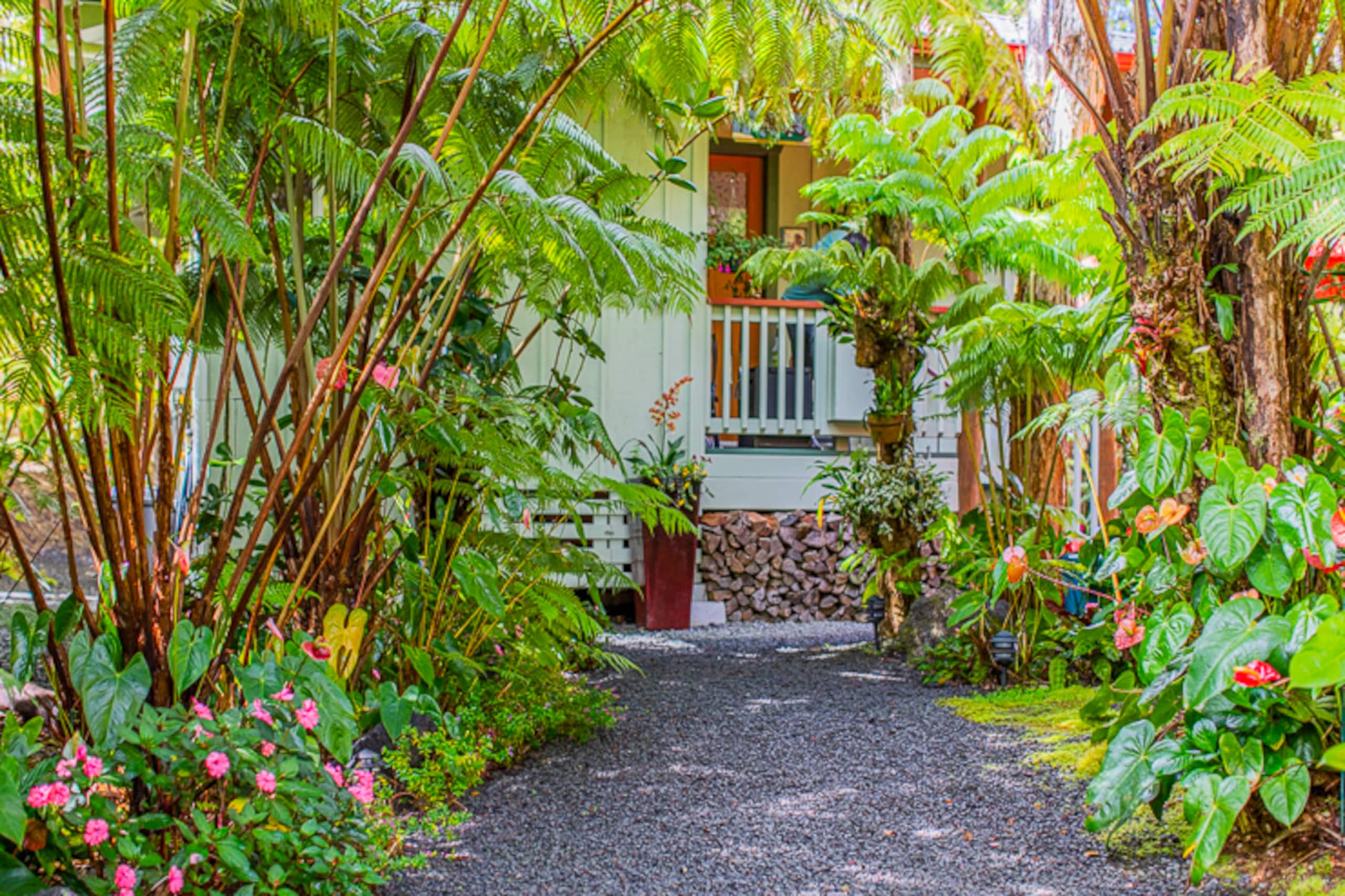 Guesthouse in Volcano · ★4.99 · 1 bedroom · 1 bed · 1 bath - Image 16