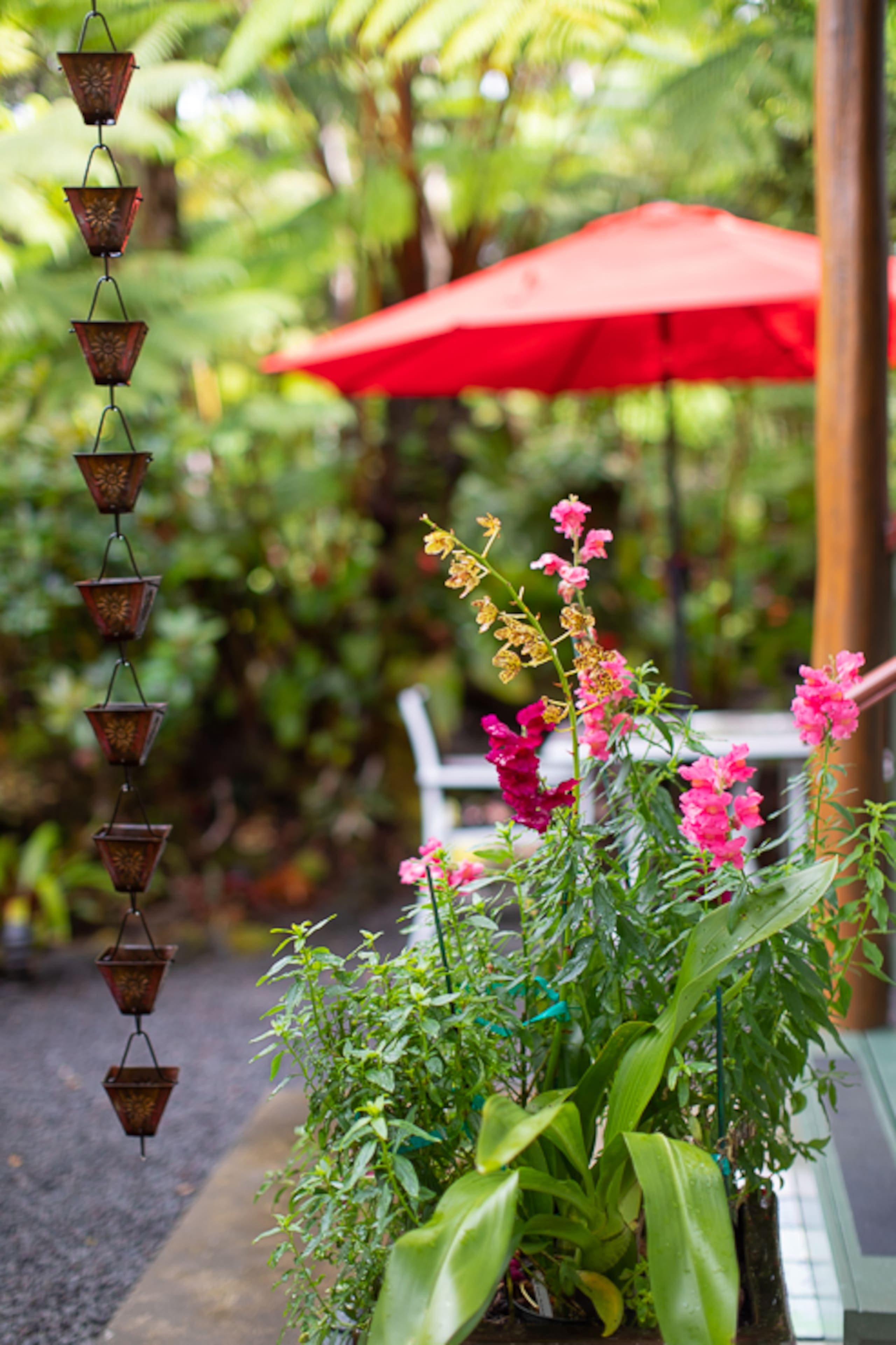 Guesthouse in Volcano · ★4.99 · 1 bedroom · 1 bed · 1 bath - Image 25