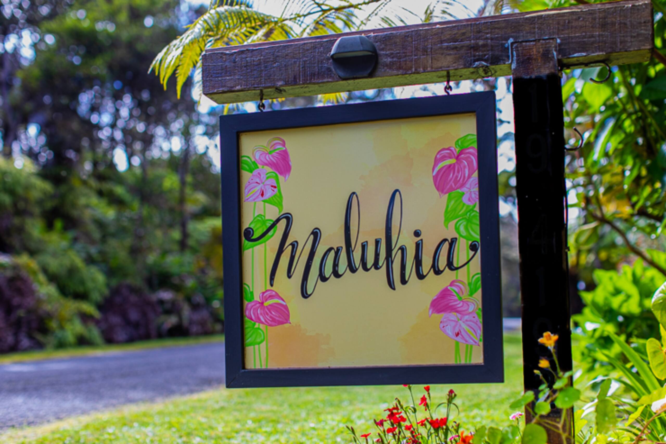 Guesthouse in Volcano · ★4.99 · 1 bedroom · 1 bed · 1 bath - Image 32