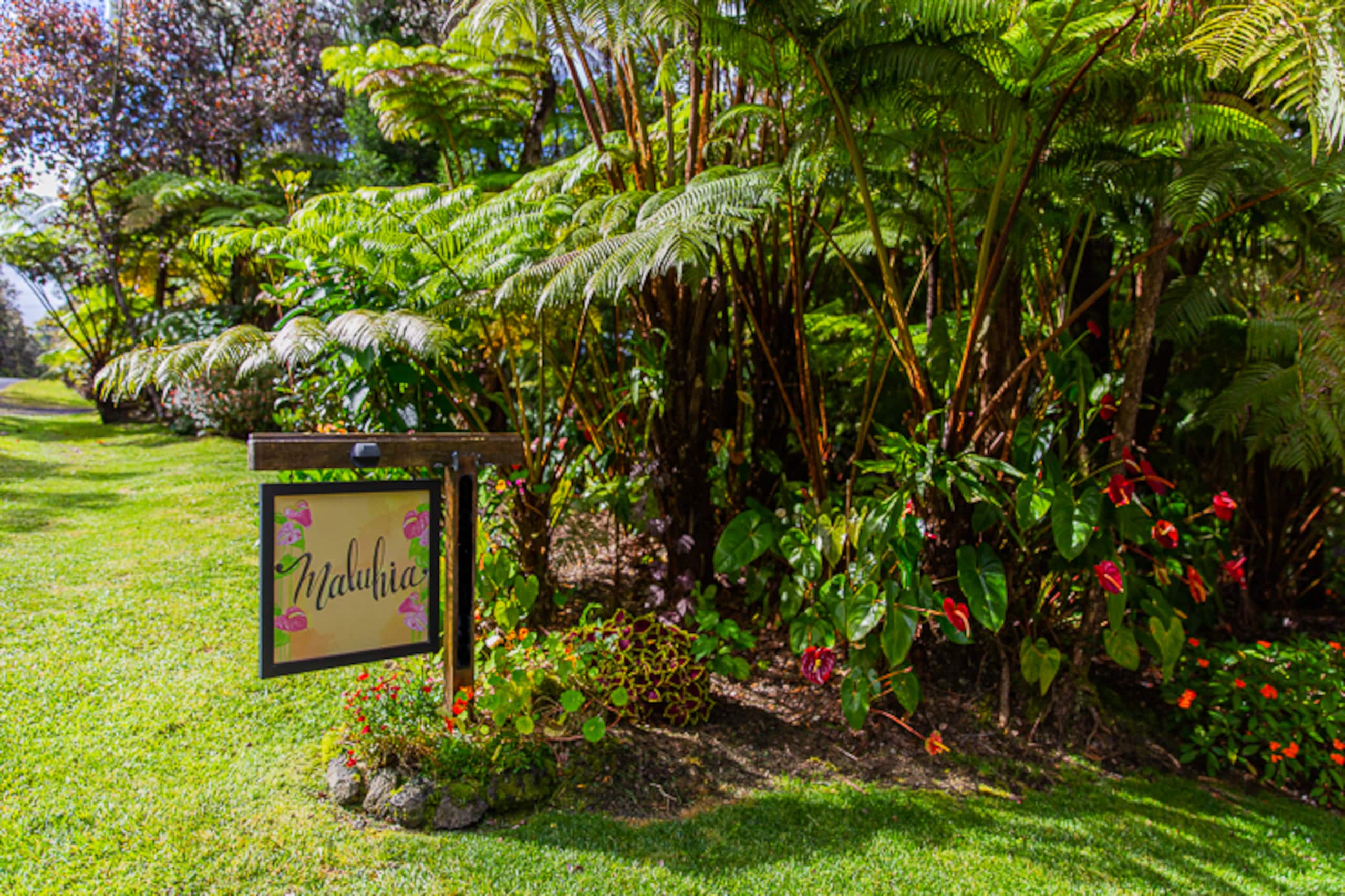 Guesthouse in Volcano · ★4.99 · 1 bedroom · 1 bed · 1 bath - Image 18