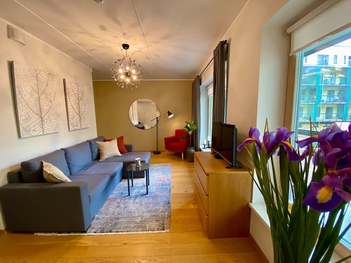 Stylish living room with modern design. Large comfortable sofa bed and coffee table. Comfortable armchair with additional lighting. A TV with a large selection of cable channels and a movie library in several languages. Fast wifi is provided.