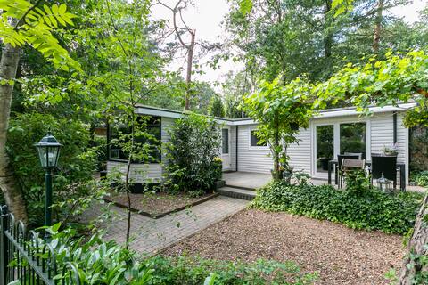 Cozy forest cottage in quiet nature reserve.
