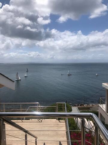 Hoeked! gallery image 5