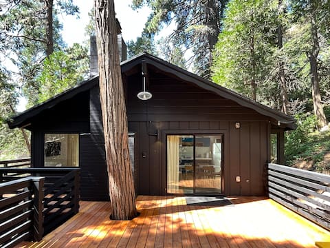 Modern & Cozy Mountain Escape Near LA