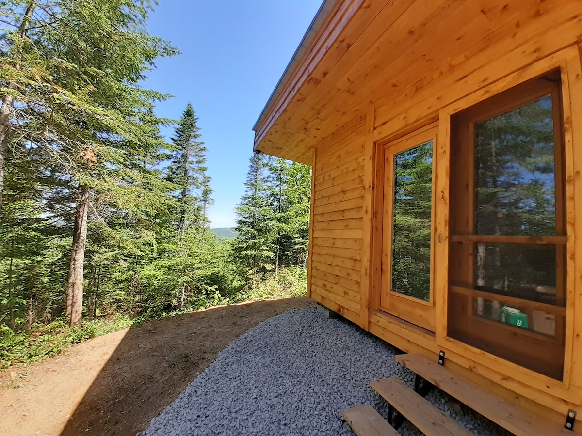 The cabin's exterior features natural wood siding, with large windows offering views of the surrounding forest. A layer of gravel leads up to a set of wooden steps, providing access to the entrance. Tall trees frame the scene, creating a serene atmosphere.