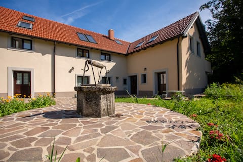 Popular Airbnb listing: Holiday house Gora in the heart of nature in Ajdovščina