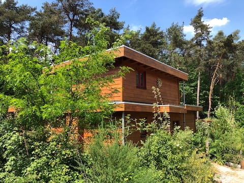 Oasis of tranquility in the woods near Nijmegen