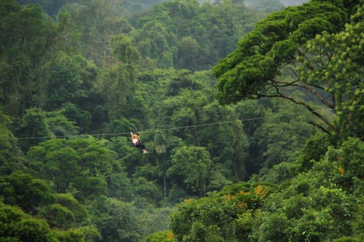 Hotel & OFF SITE Thermal Resort - Bed and breakfasts for Rent in 