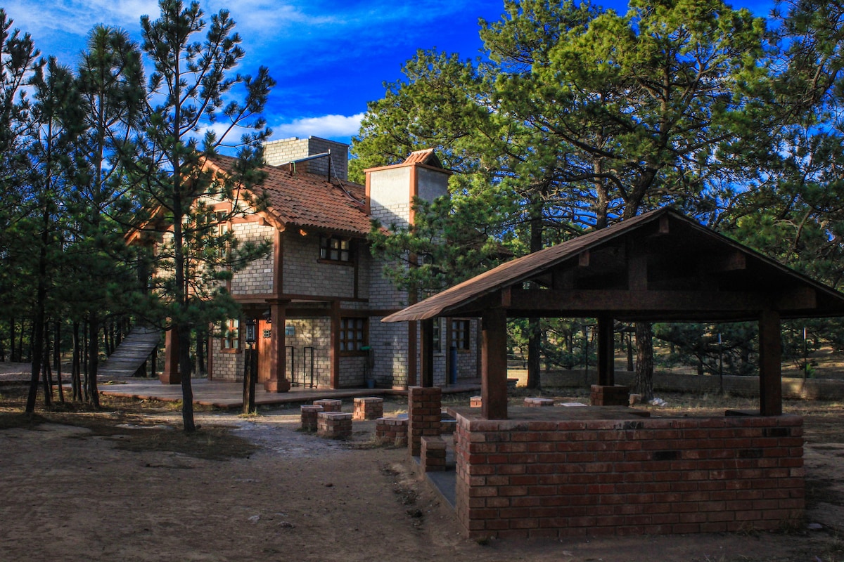 A two-story cabin constructed from stone and wood is surrounded by pine trees, enhancing the natural setting. A shaded pavilion featuring a brick barbecue area is located in the foreground, complementing the outdoor space. The sky is clear with scattered clouds.