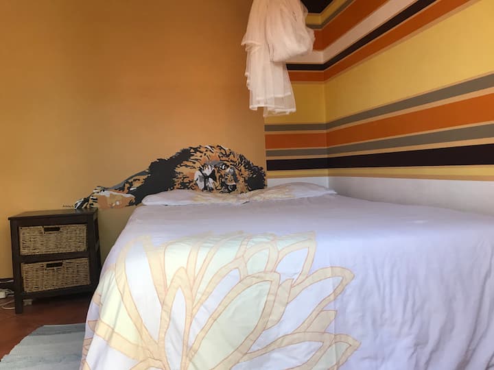 Vårt "Sov med ett lejon" Dubbelrum eller enkelrum