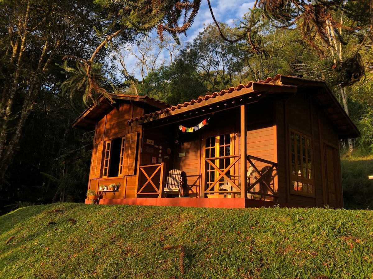 A charming wooden chalet is nestled among lush greenery, featuring a sloped roof and large windows. A porch area is highlighted by a rocking chair, while a subtle decorative banner adds a touch of color. Sunlight bathes the exterior, enhancing the natural setting.