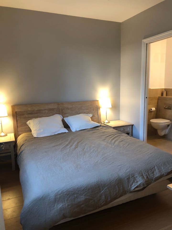 bedroom 2 : 1 bed 160 and bathroom (shower & toilet), view of the pines & olive trees