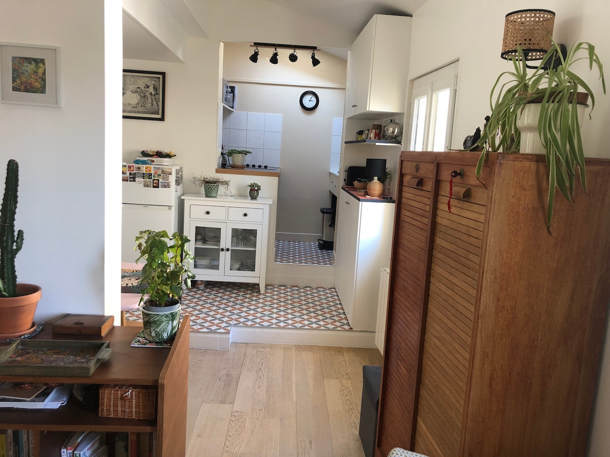 A bright kitchen area is visible, featuring modern cabinetry and an open layout. A decorative plant stands next to a wooden storage unit, while patterned tiles add character to the floor. Natural light enters through a window, enhancing the welcoming feel of the space.