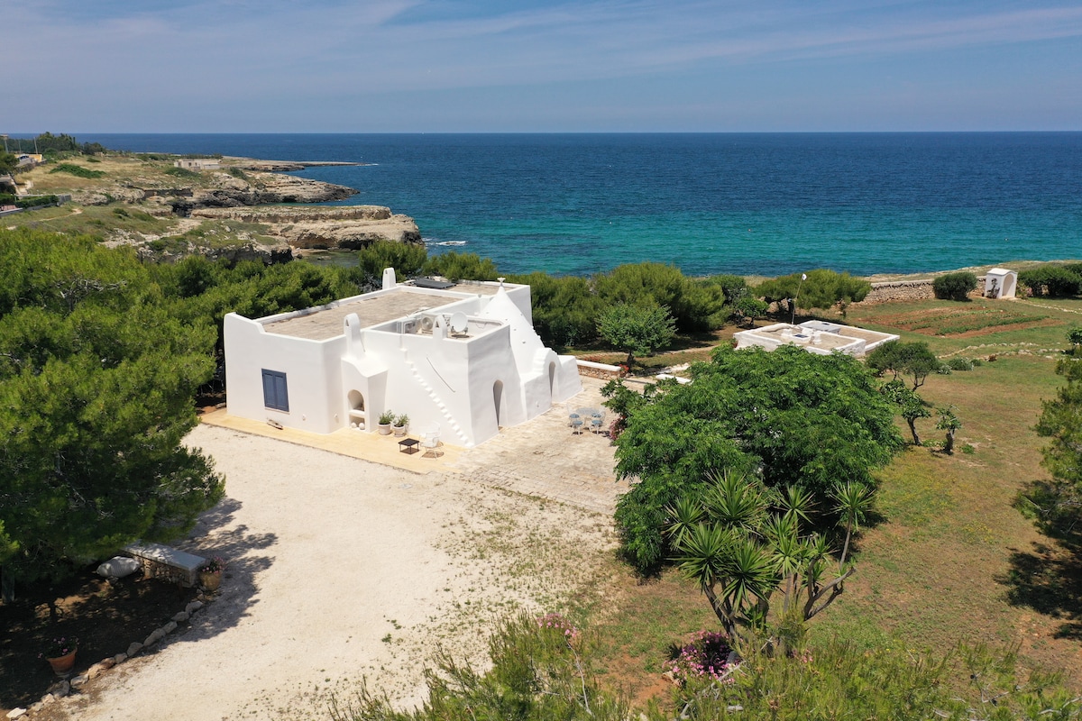 A white trullo stands amidst lush greenery, overlooking the clear blue sea. The exterior features a spacious terrace and steps leading to the roof. Surrounding the property are various Mediterranean plants and trees, creating a tranquil and private atmosphere.