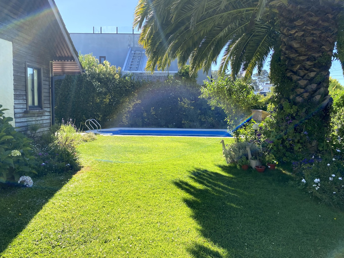 A lush green garden is framed by palm trees and vibrant shrubs, leading to a swimming pool. The pool is surrounded by grassy areas and is partially shaded by foliage, creating a serene outdoor space perfect for relaxation.