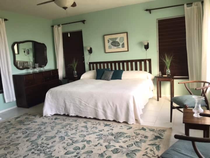 Camera da letto principale