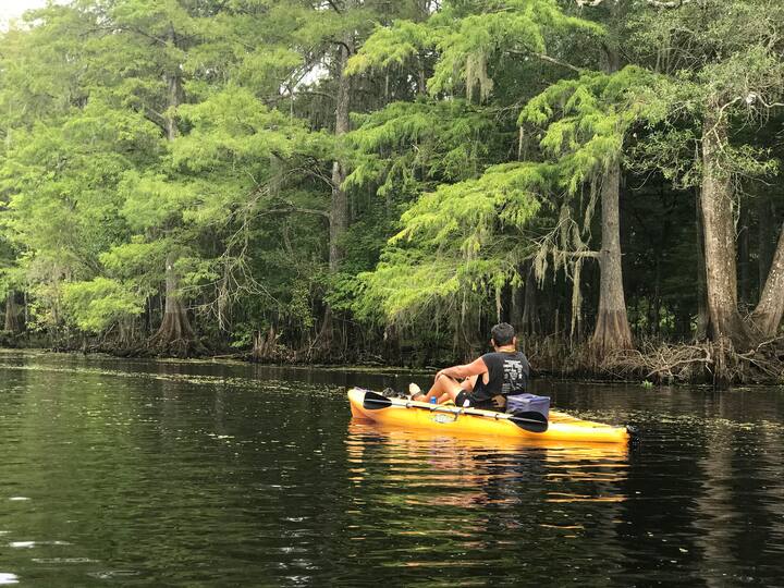 Nobleton Vacation Rentals & Homes Florida, United States Airbnb