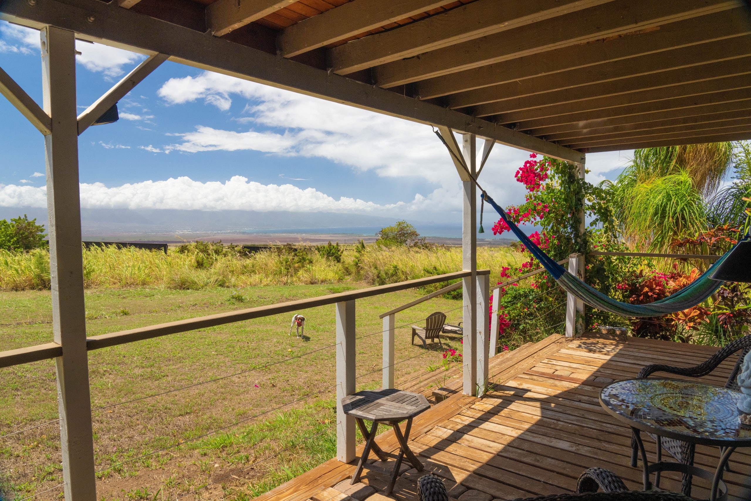 Spectacular Ocean Views • Private Studio• King Bed - Image 8