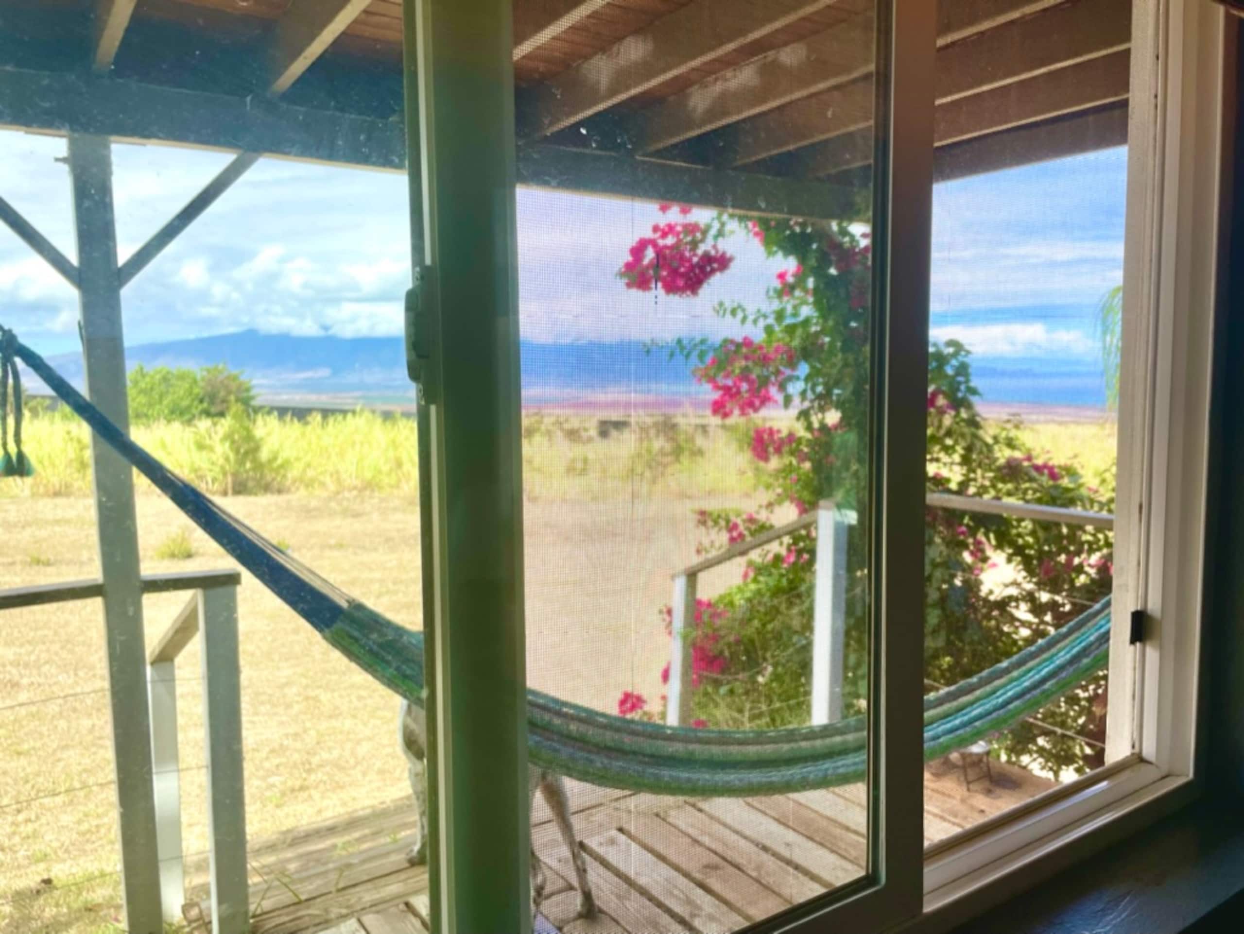 Spectacular Ocean Views • Private Studio• King Bed - Image 11