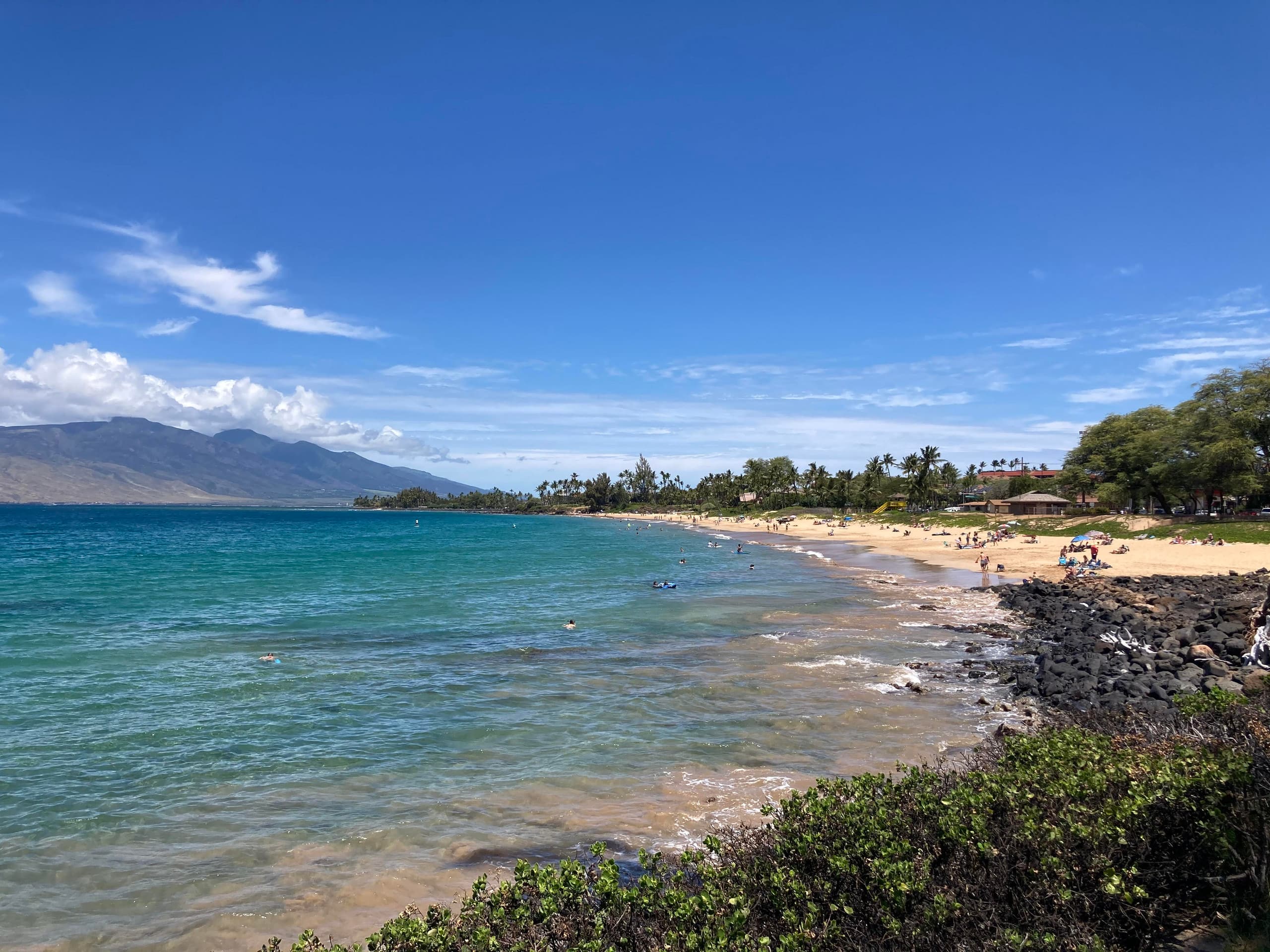 Condo in Kihei · ★4.92 · 2 bedrooms · 3 beds · 2 baths - Image 19