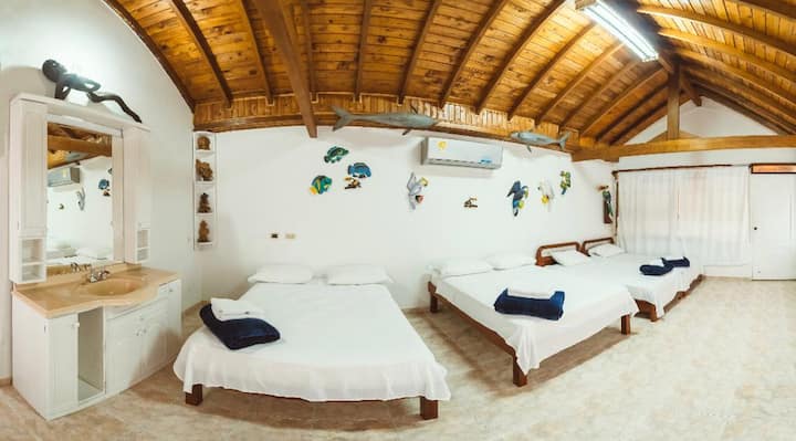 Dhomë Delfines