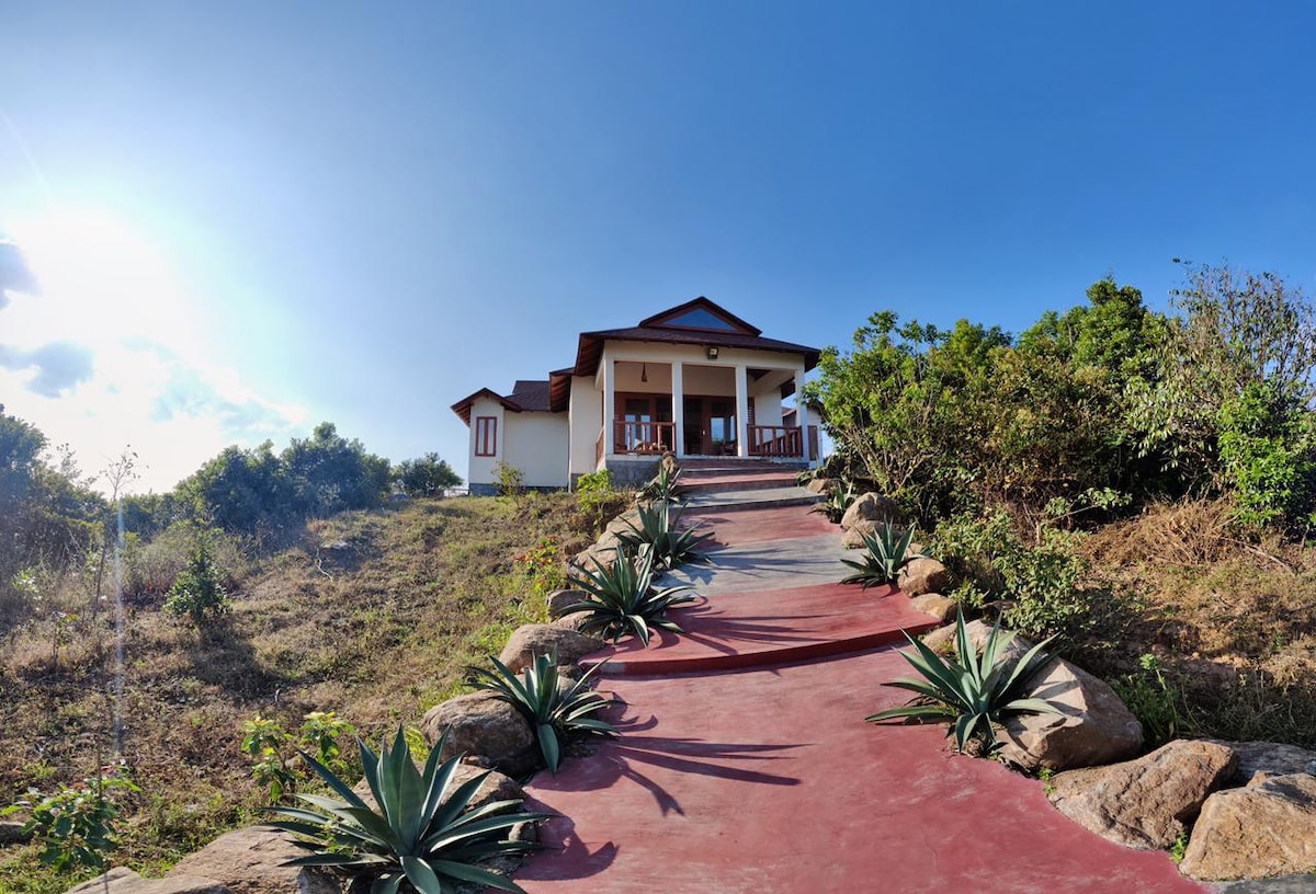 A charming cottage is viewed from a winding path lined with plants and rocks. The structure features a sloped roof, large front porch, and multiple windows, all set against a bright blue sky and lush greenery surrounding the area.