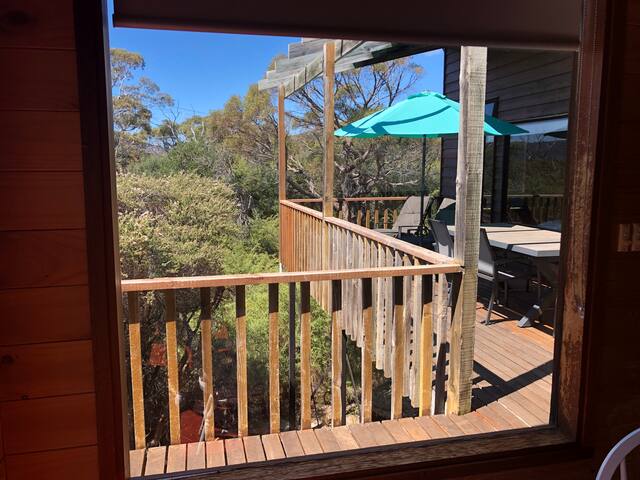 Akira – Freycinet National Park gallery image 5