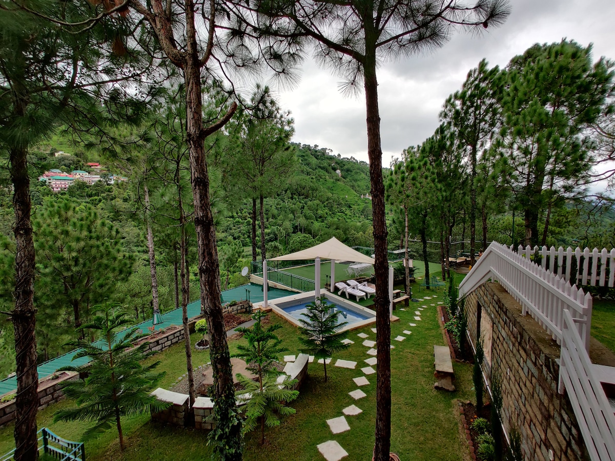 The outdoor area features a well-maintained garden with stone pathways leading towards a serene swimming pool. Surrounded by tall pine trees, lounge chairs are positioned beneath a shaded structure, providing a peaceful retreat in a natural setting. Scenic mountain views are visible in the background.